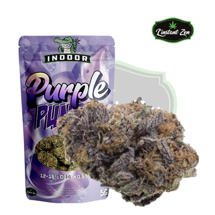 CBD PURPLE PUNCH  INDOOR